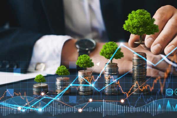 中钨高新：第三季度归母净利润3.35亿元，同比增长36.53%