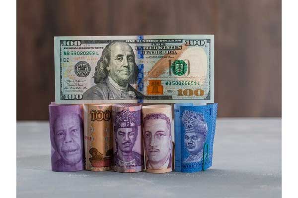 中钨高新：第三季度归母净利润3.35亿元，同比增长36.53%